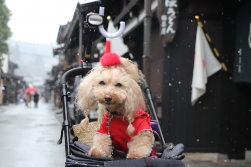 宮川朝市