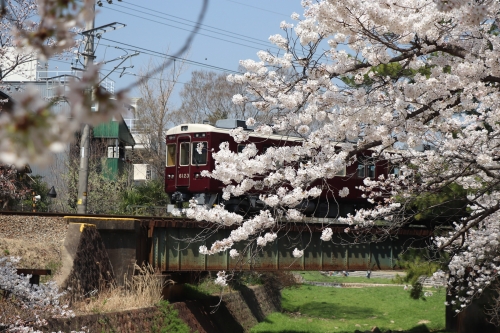 夙川