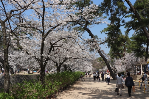 夙川