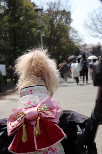 大阪城公園