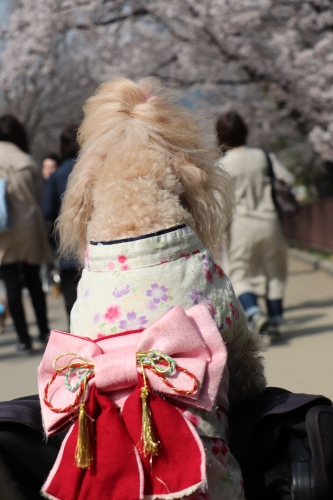 大阪城公園