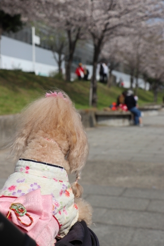 大阪城公園