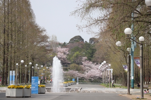 鶴見緑地