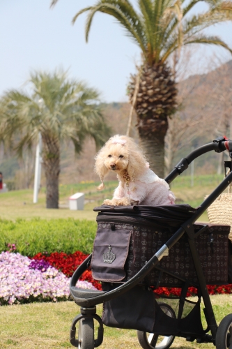 明石海峡公園