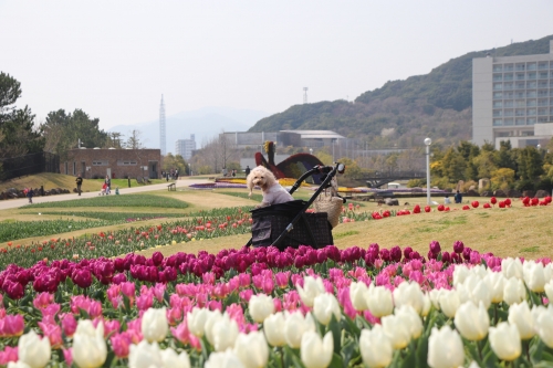 明石海峡公園