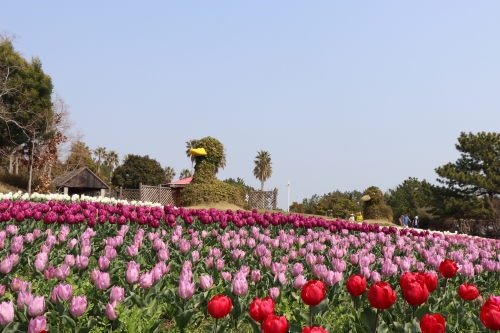 明石海峡公園