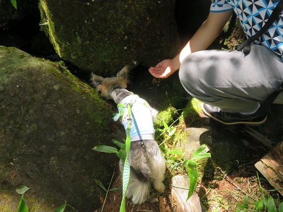 8N21 湧水を飲む　0804