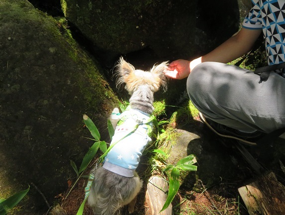 11N23 湧水を飲む　0804