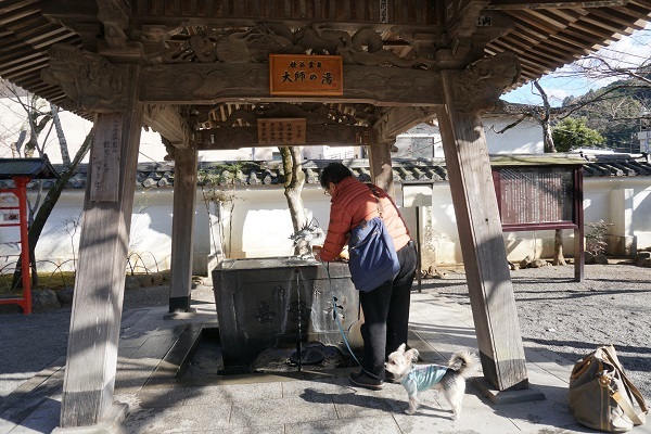 3B02　修禅寺 お手水　お湯　0104