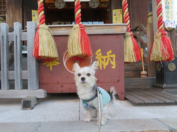 1A02　浅間神社様　0109