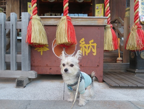 2A03　浅間神社様　0109