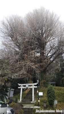 水神社(文京区目白台)1