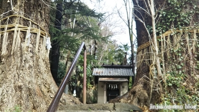 水神社(文京区目白台)8