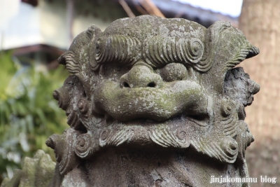 松本天祖神社(江戸川区松本)23