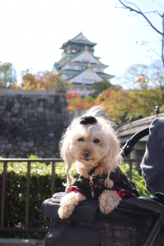 大阪城公園