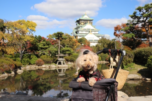 大阪城公園