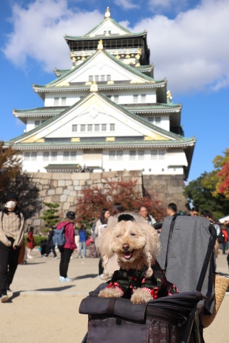 大阪城公園