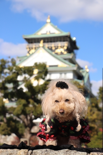 大阪城公園