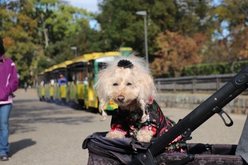 大阪城公園