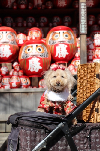 勝尾寺