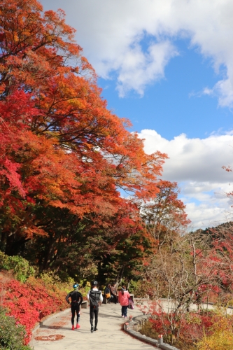 勝尾寺