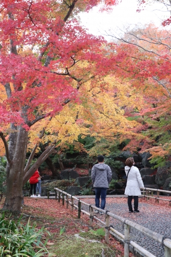 勝尾寺