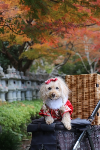 勝尾寺