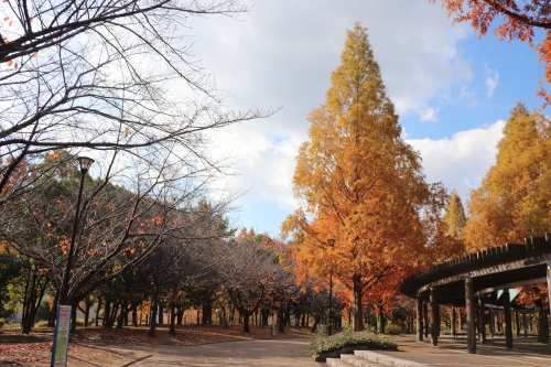 鶴見緑地