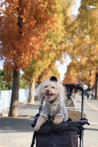 鶴見緑地