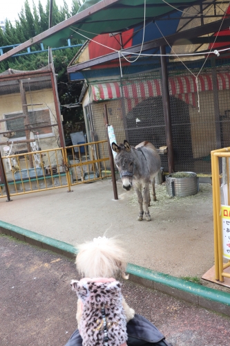 池田動物園