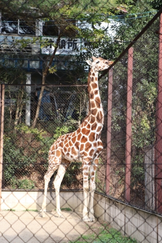 池田動物園