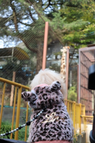 池田動物園