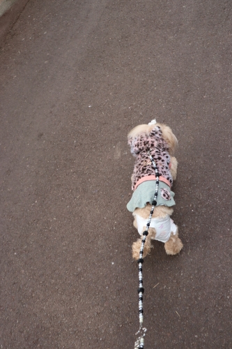 池田動物園