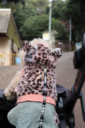 池田動物園