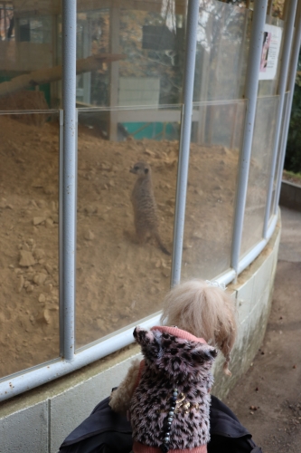 池田動物園