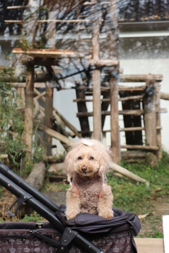 池田動物園