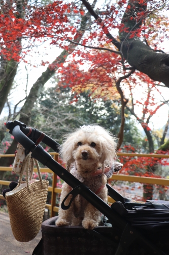 池田動物園