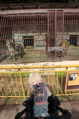 池田動物園