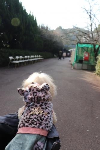 池田動物園