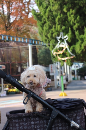 池田動物園