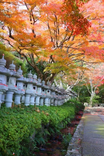 勝尾寺