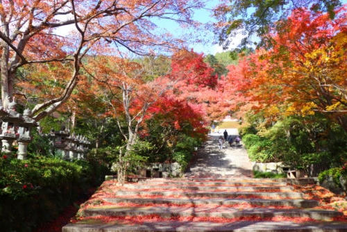 勝尾寺