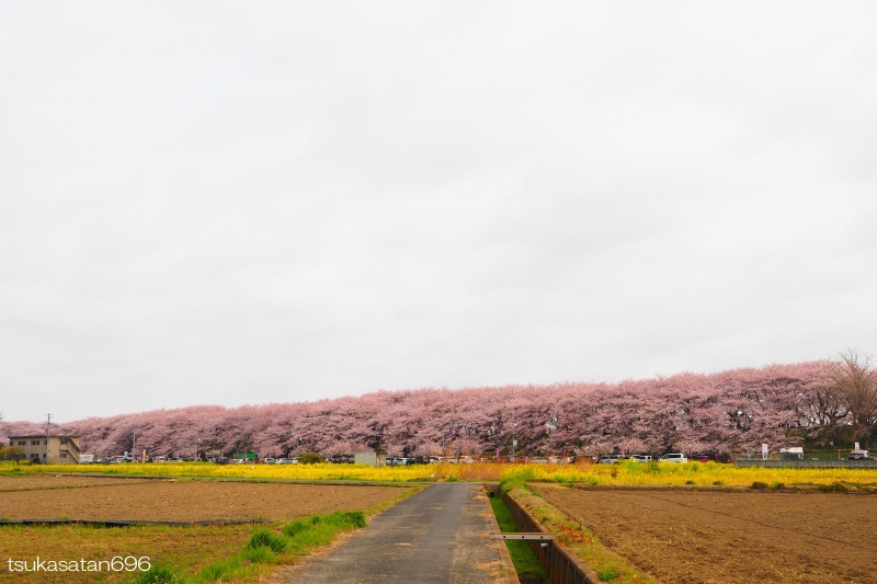 20190407_at_gongendo_03