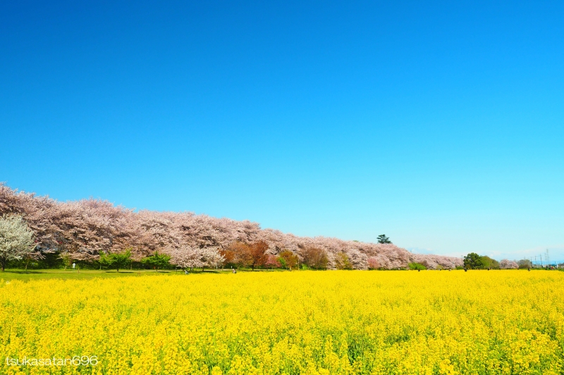 20190409_at_gongendo_01