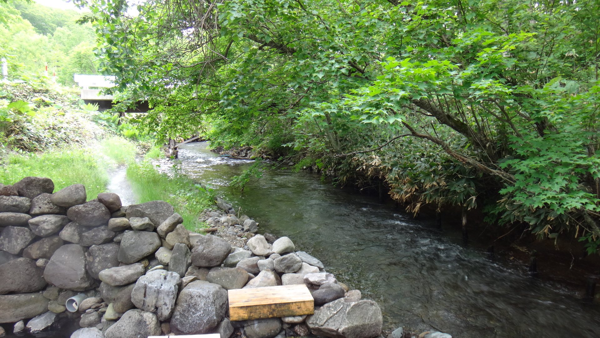 からまつの湯１３