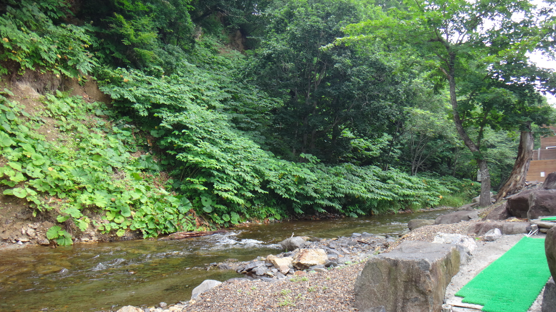 養老牛温泉湯宿だいいち０８０７２２