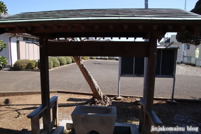 羽黒神社　　 狭山市加佐志7