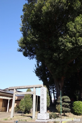 丸山稲荷神社　　狭山市青柳1