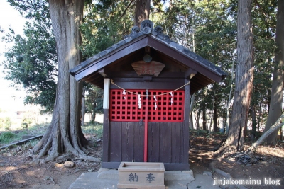 丸山稲荷神社　　狭山市青柳4