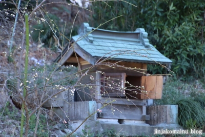 奥富神社　　狭山市大字下奥富9